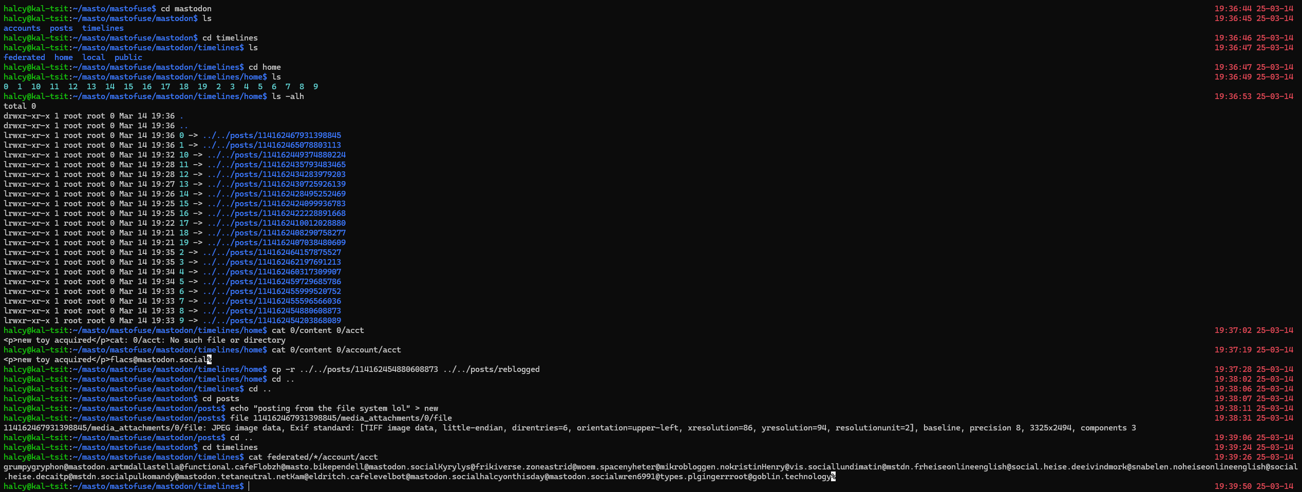 mastodon but it's a file system. various operations, such as viewing timeline, posts, media attachments are demonstrated mastodon but it's a file system. various operations, such as viewing timeline, posts, media attachments are demonstrated