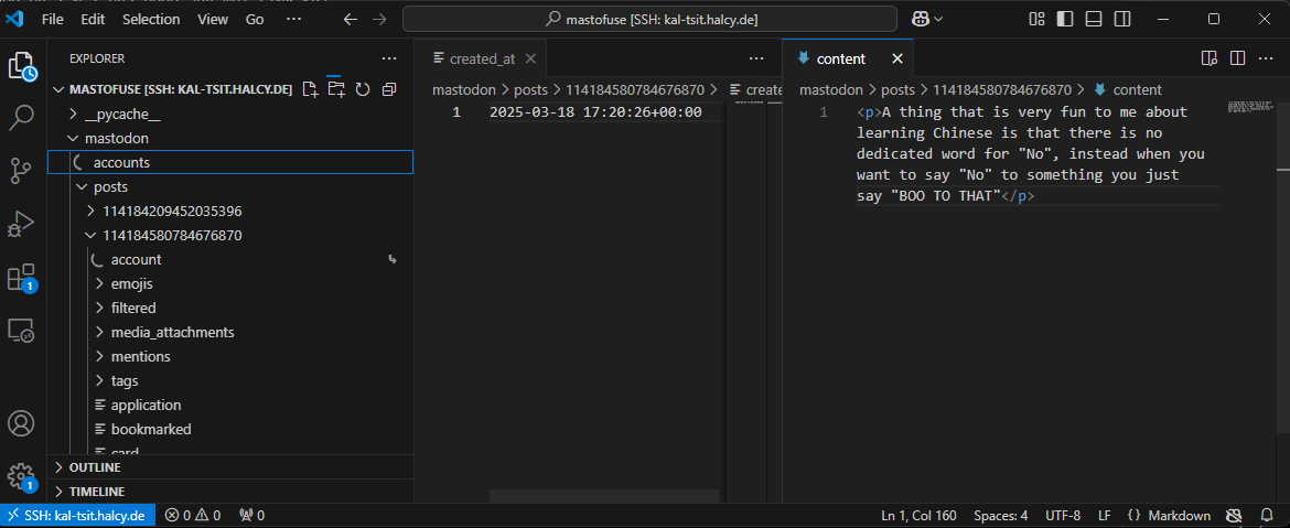 mastofuse accessing a post via a VSCode remote window mastofuse accessing a post via a VSCode remote window